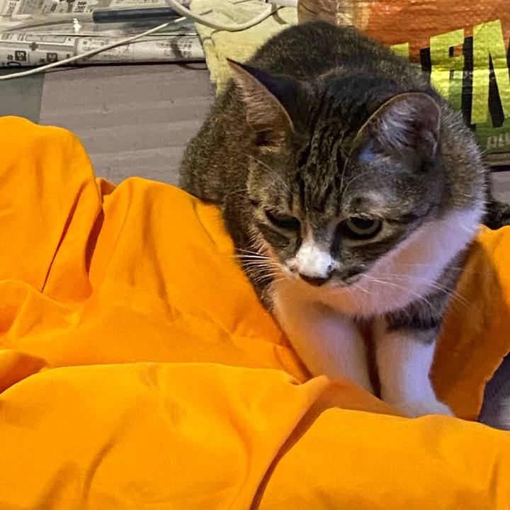 49b8b9ee 1d74 4a33 a1ef e10417bd4149 1662771637749