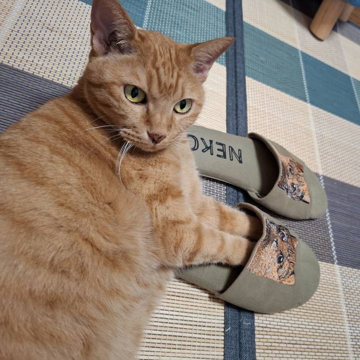 49b8f182 36e9 48ba 9c1d 8110e0d8f96b 1726536456511