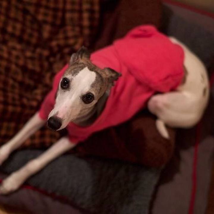 49b8f1d7 5ec1 4ca6 bebc e028c97bd852 1524310034665