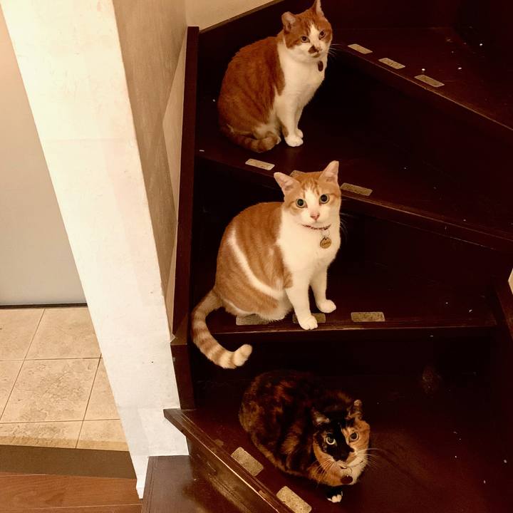 49b97430 cef0 4700 97cf 7def43059c02 1571836645789