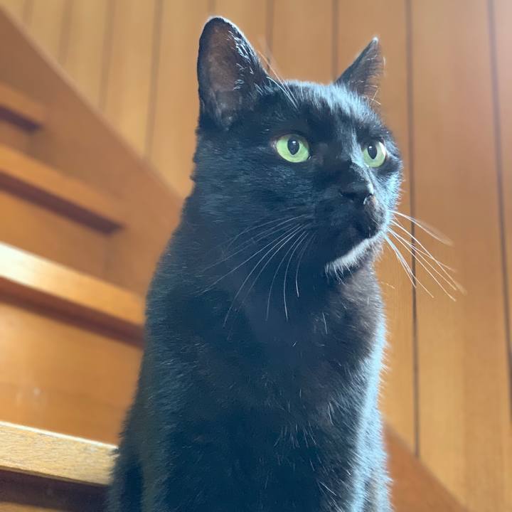 49b98c04 d22e 432b 8efe db4d7dc4faf8 1542245140222