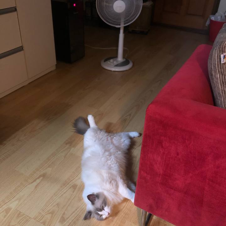 49b990e3 27f2 47dd a5f9 0e062149a11f 1564493818777