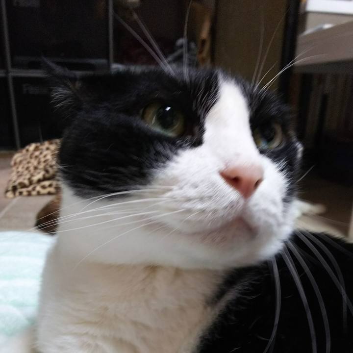 49b9ce6e 7977 4a43 8308 7b531658c6c3 1536452263769