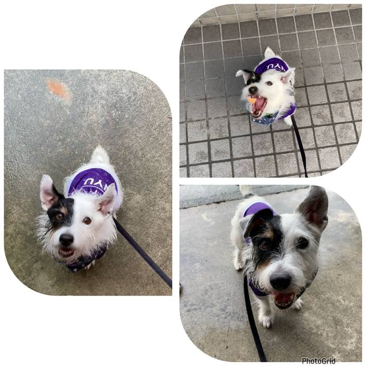 49ba18f6 0dc9 4633 8b2f 734271739ab4 1724717922660