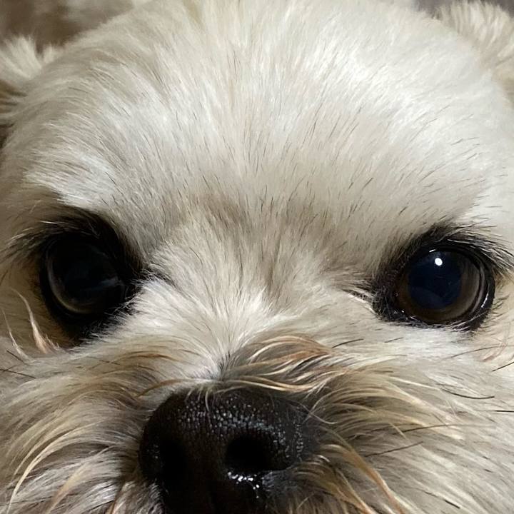 49ba2d59 2eb1 4f5c 9d05 1aa26693b63c 1606479604508