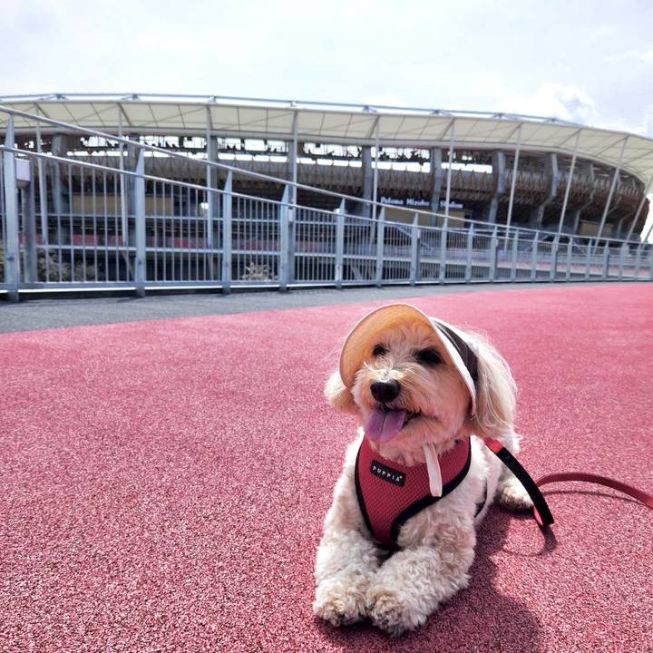 49ba41f4 01fb 442e 9005 318bd6c5c7ab 1775466170227