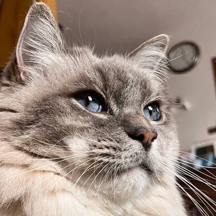 49ba57e7 a1eb 4855 853d 424e6bed0808 1670648981278