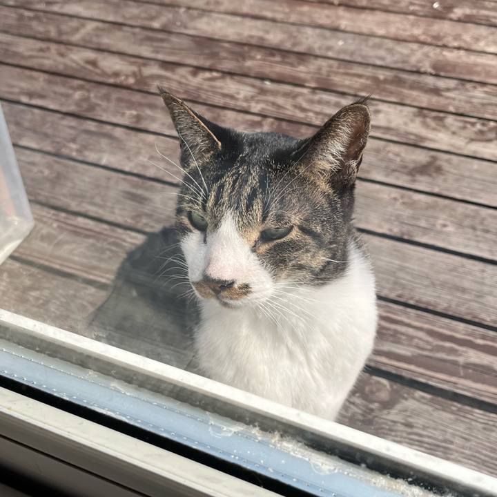 49ba5d5e aeef 45cc aa75 ea6ff109a803 1774932336550