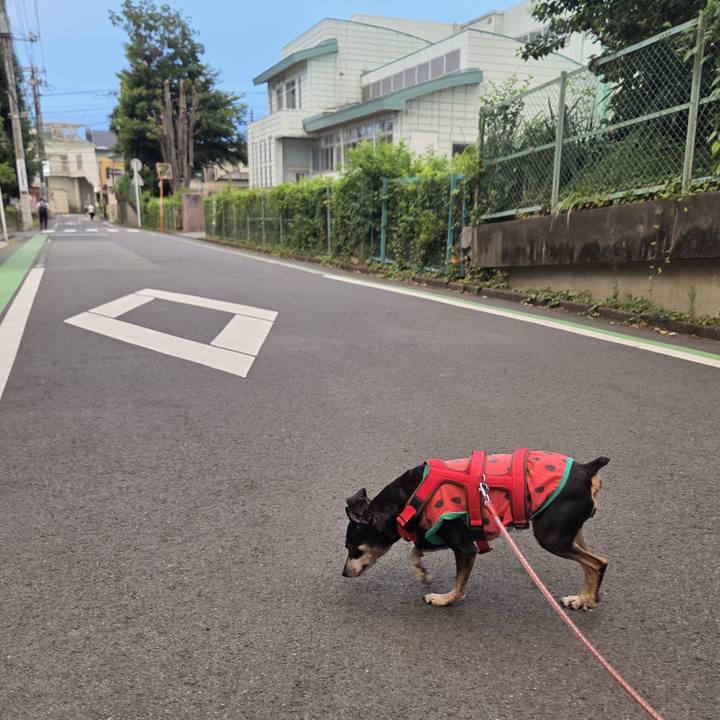 49ba8207 0fd7 416f b044 deba19dc2ef2 1753997636711