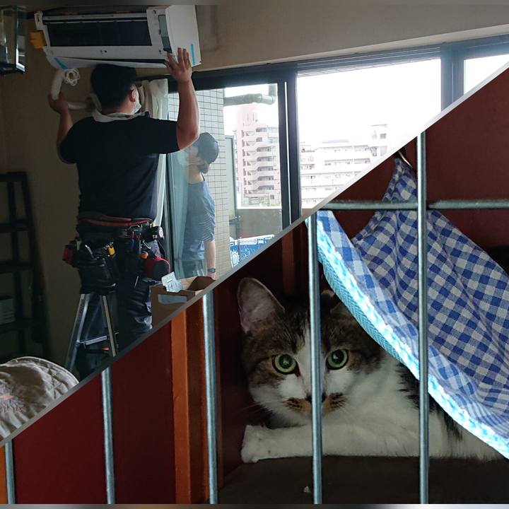 49ba83fb 5147 44ad 95b0 0420232d5416 1621310408277