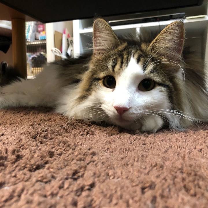 49ba8b09 92d3 47a6 84e6 ea533ca7ea7b 1530178515072