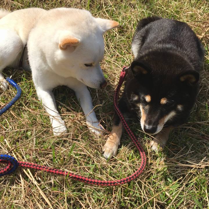 49baa12c 23bf 44ad 88bc 5a0da5e8bfda 1539660610347