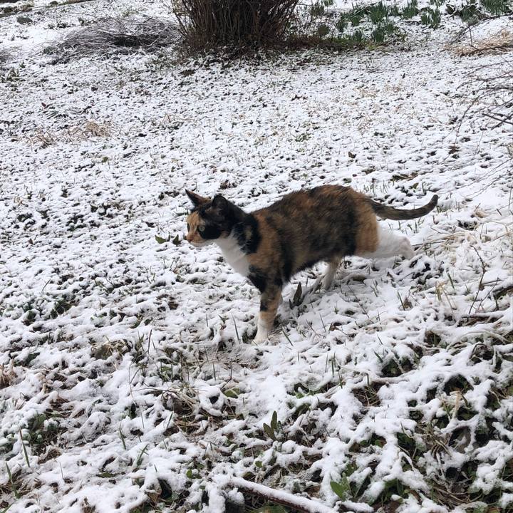 49baa2de 5a46 4ffa a50e 20d950123cdc 1648777574325