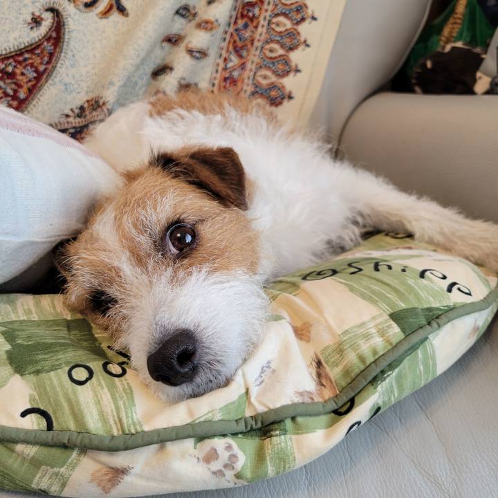 49baab69 7c6b 4697 a78b b67238ee40c4 1649726689889