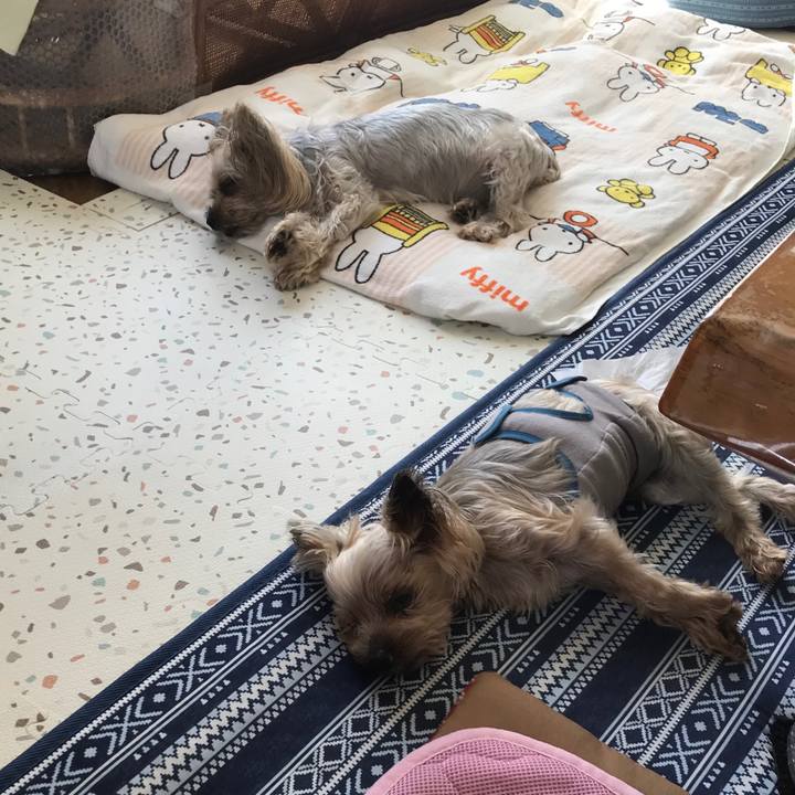 49bad9ce b1c2 4a1c b95d 365d98590529 1691661208559