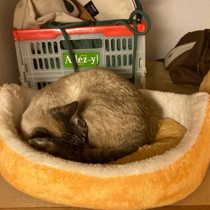 49bae0b4 1d98 4151 a3a0 fd59e155e00a 1753426725157