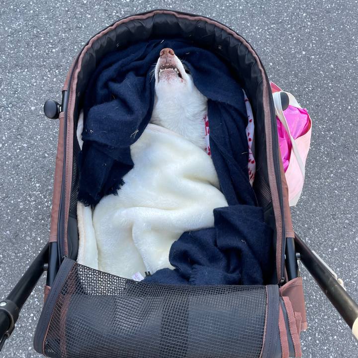 49bae7ad 4bcb 4068 8ed0 4b0fd2e4092f 1677580890846