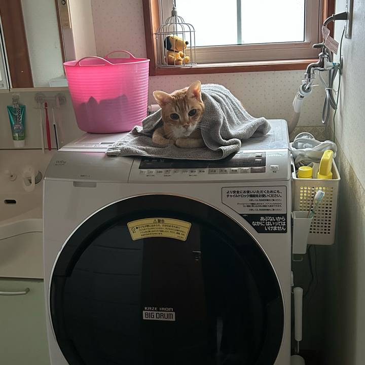 49bb1dfb 58a2 4acf bbec 58b33c88d071 1679094242993