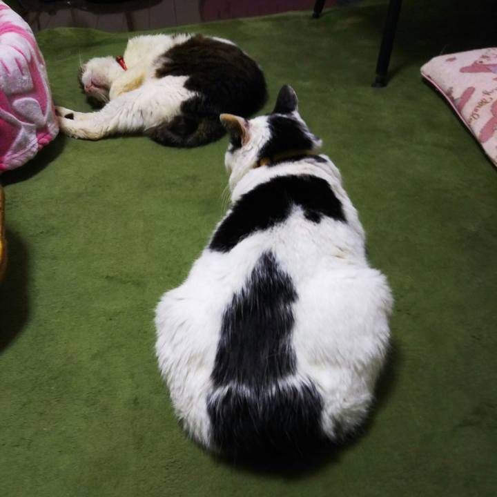 49bb283a b869 4214 9802 2f7967627cac 1580124744186