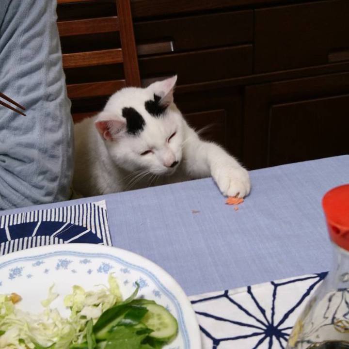 49bb41a0 9ba1 4c9d 88f0 4ed5dc51e406 1619965235190