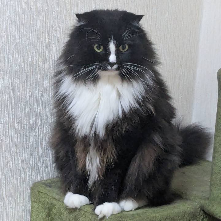 49bb6caa bfd7 4340 a8a6 fd28a75db1c7 1753790325990