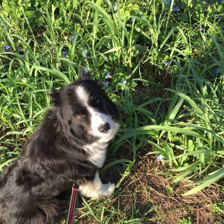 49bb754d d2bb 4f40 9203 d221bbcb960d 1724723405715