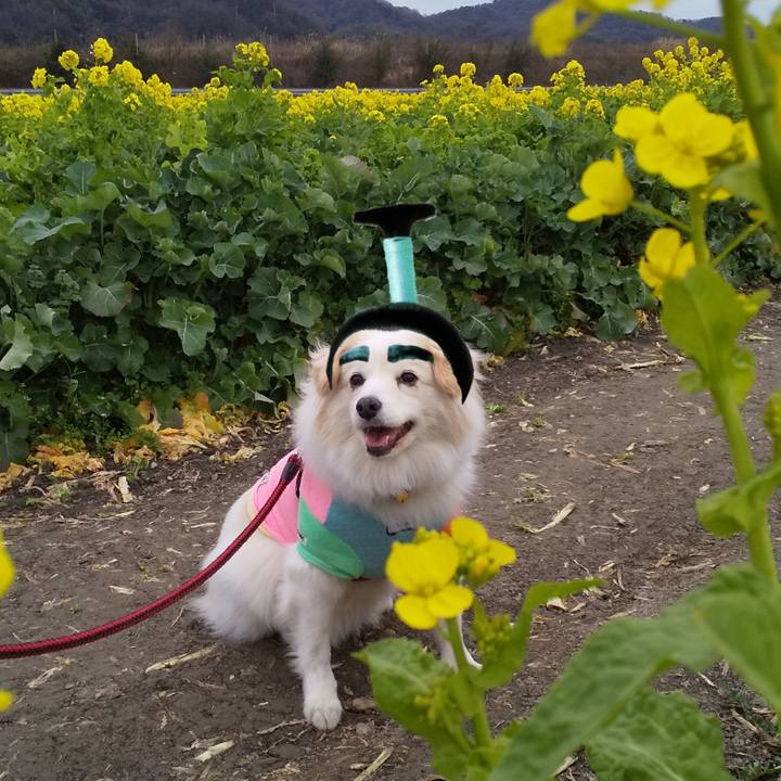 49bb9556 6582 4341 81cc 14303e95e6c2 1585663245690