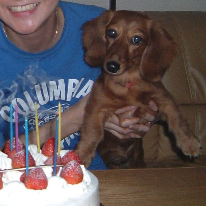 49bb96ab 62c0 4811 9111 62dba7d1e726 1559669205370