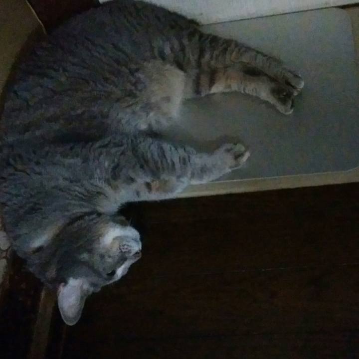 49bbb5dd 254e 42af b54d 30510aa92df0 1598778395122