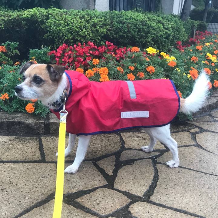 49bbbfaf b88e 450b baff 97706ef7630c 1537854056989