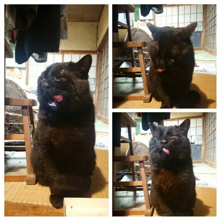 49bbc91f 6791 4fdf ae94 c010343785f7 1616840440097