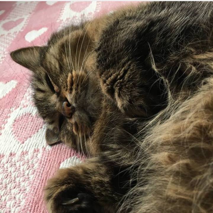 49bbd08f a1ec 4b84 8e96 f206eec793ae 1759921095749