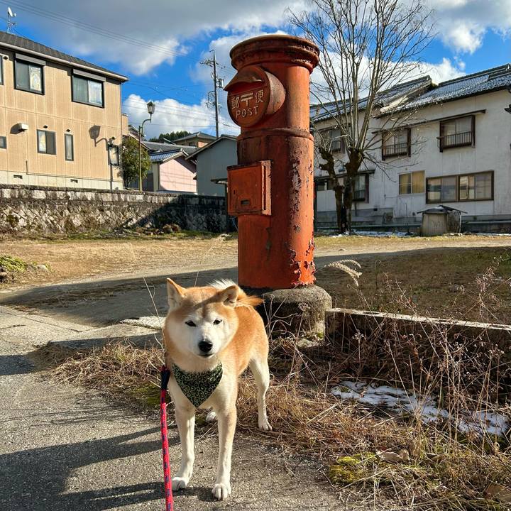 49bbd77a acda 401f b230 44020d3ffab0 1737286803175