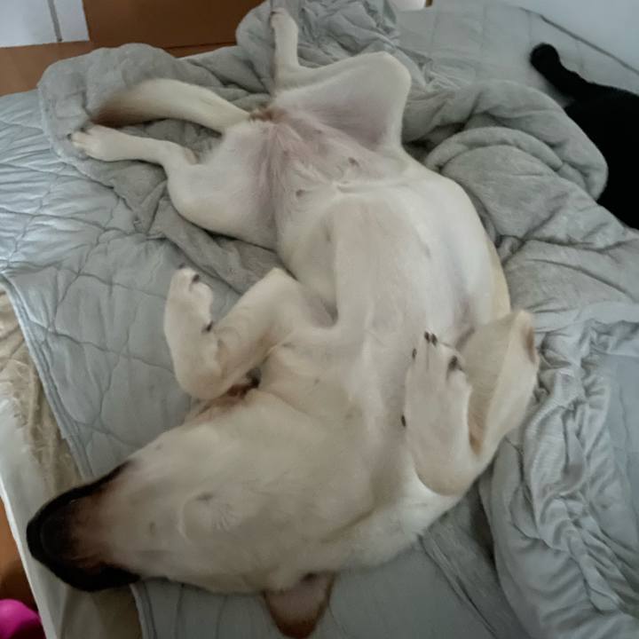 49bbe671 9482 4e4e 9f28 ba7a9ee4c312 1660871119768