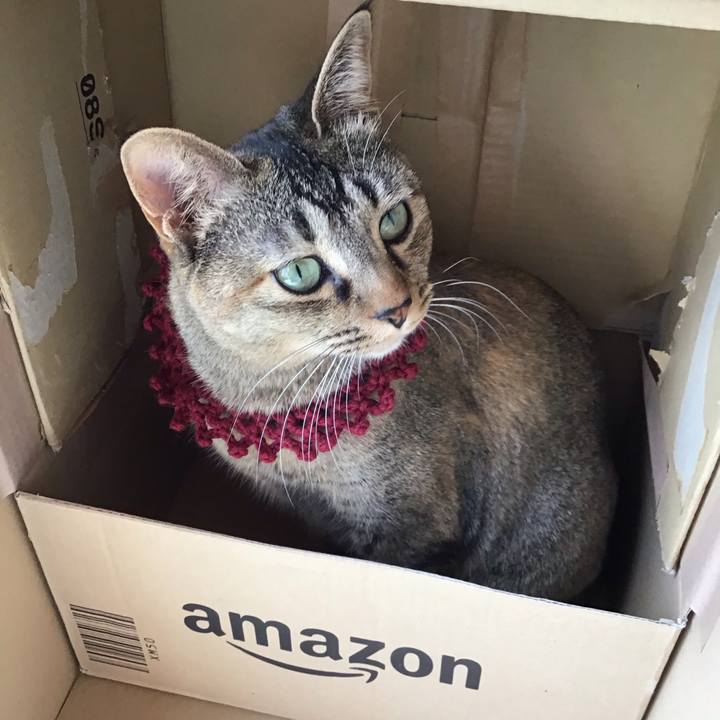 49bc1b77 9ae5 41bd b208 4c28a3173cb4 1614138683977