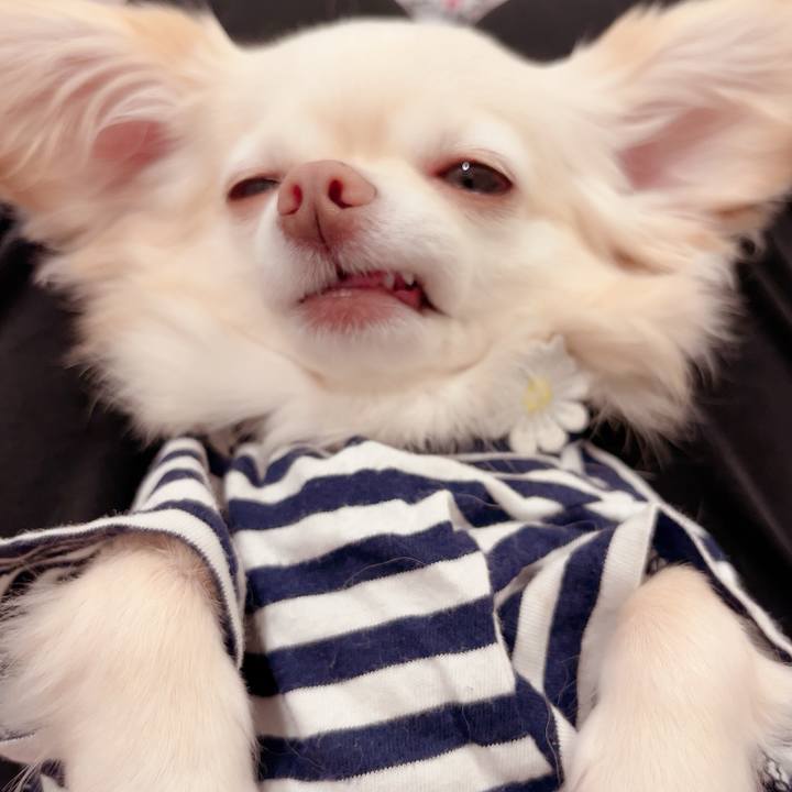 49bc46fd 494e 40d0 bb25 fd347062e32b 1718949297695