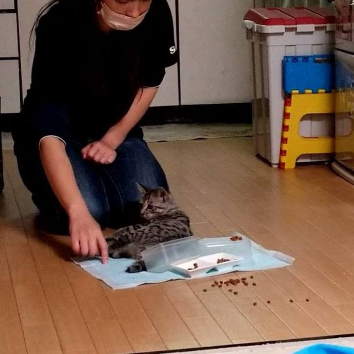 49bcaa86 60b4 4813 a6fb 1ad937003ea7 1666094590873