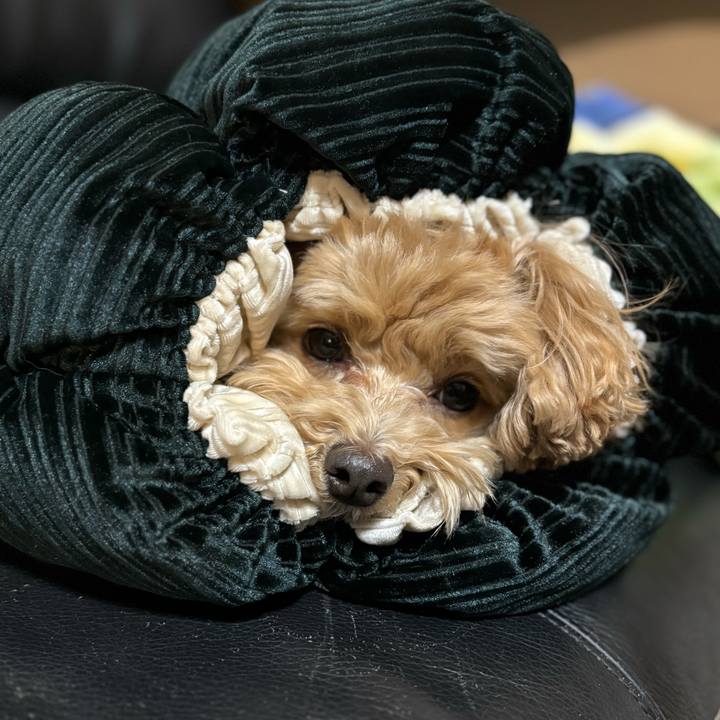 49bcb041 9d5c 40c4 9f6d 5f42575dfb48 1704901683303