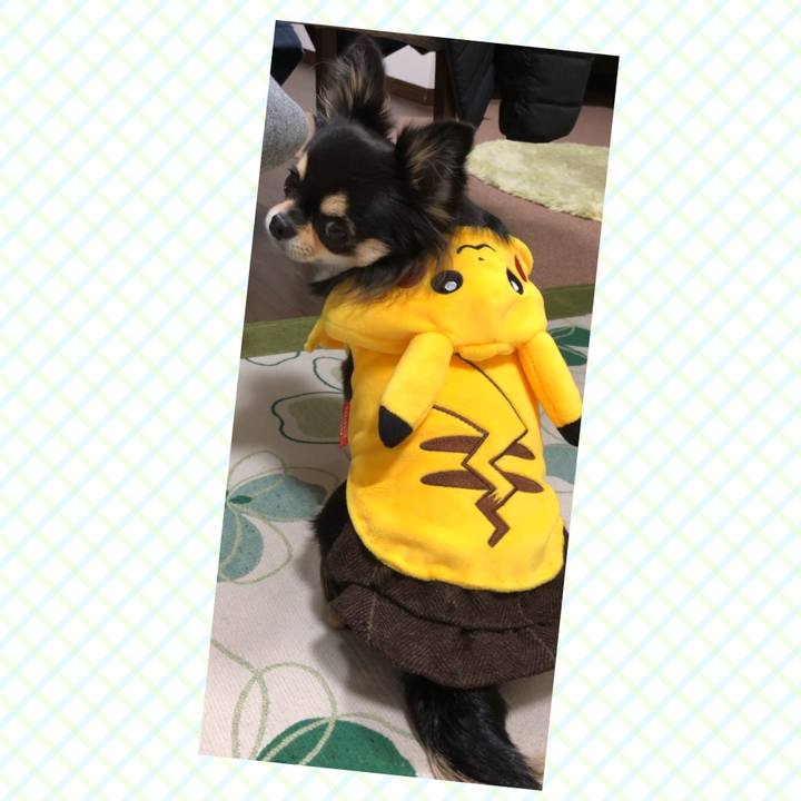 49bcb3a1 3d95 4629 9f0b 723ac388dea1 1579080874470