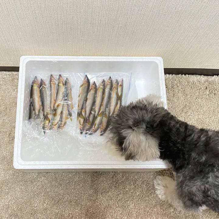 49bcc5a3 618e 4939 9328 e7f3775f31c9 1584952946817