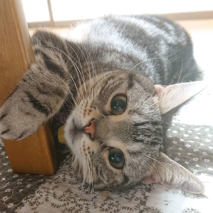 49bcd987 7ede 4051 9fde 6fbafdd23073 1562893229473