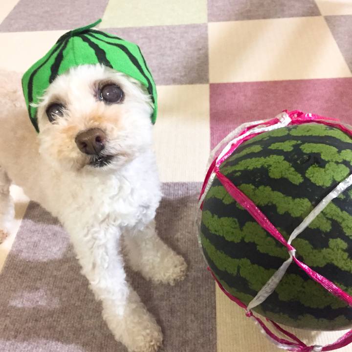 49bd21de 9af5 4c41 bc7d 6d0c57426d12 1533074178456