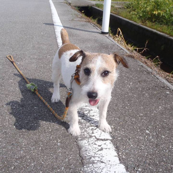 49bdd668 0b8d 4750 95bb 1812d94f42d8 1537240497478