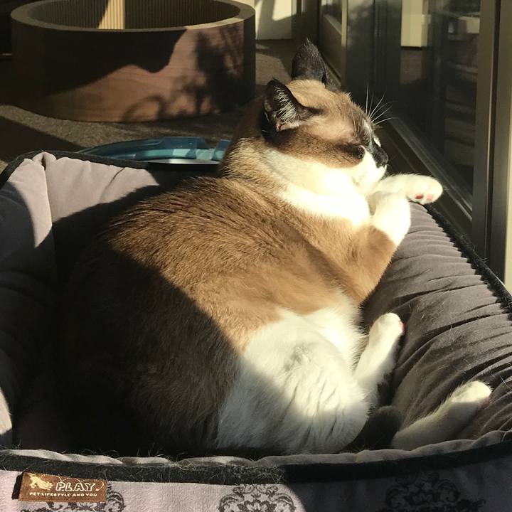 49bdf828 480d 4da8 af0a f416d29ee78a 1556951693355