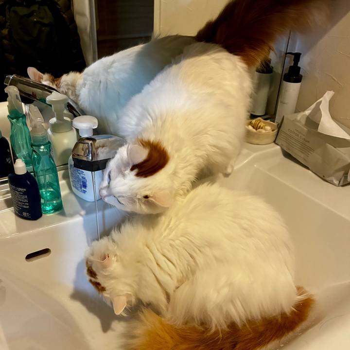 49bdf95e 39d9 4340 b980 b613c6247419 1773286775073