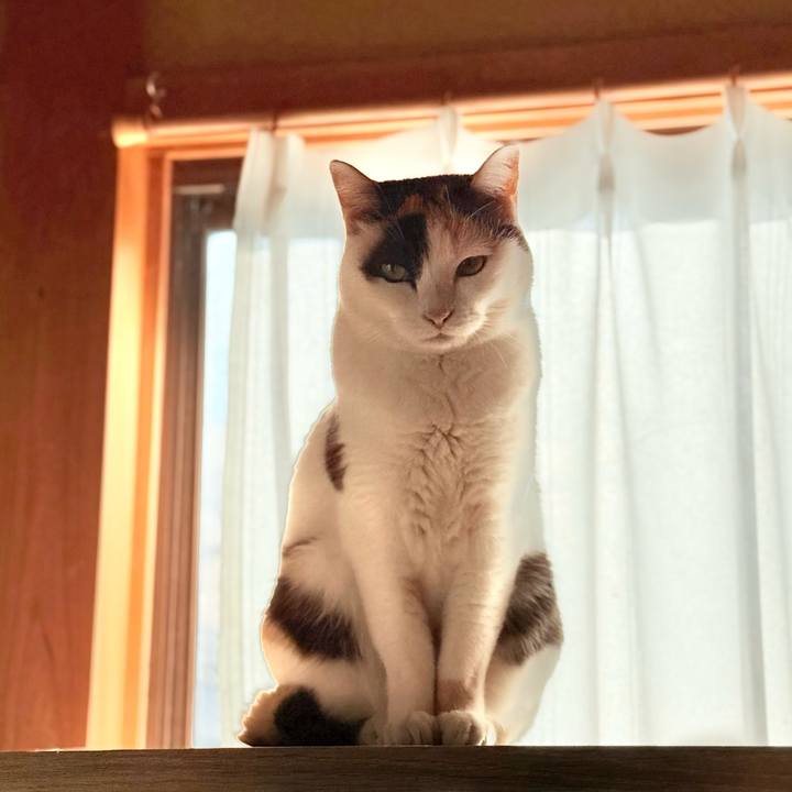 49be5b1c 91a7 4a91 9cd0 6aad5eff8aed 1736389002501