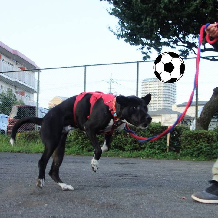 49be7356 1e29 4348 b78c 6d9c338d6c27 1592911085537