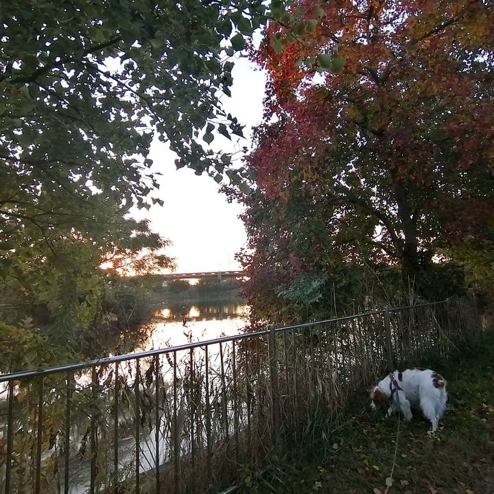 49be9480 4894 4422 9d57 fd01c5cf5b70 1573807439720