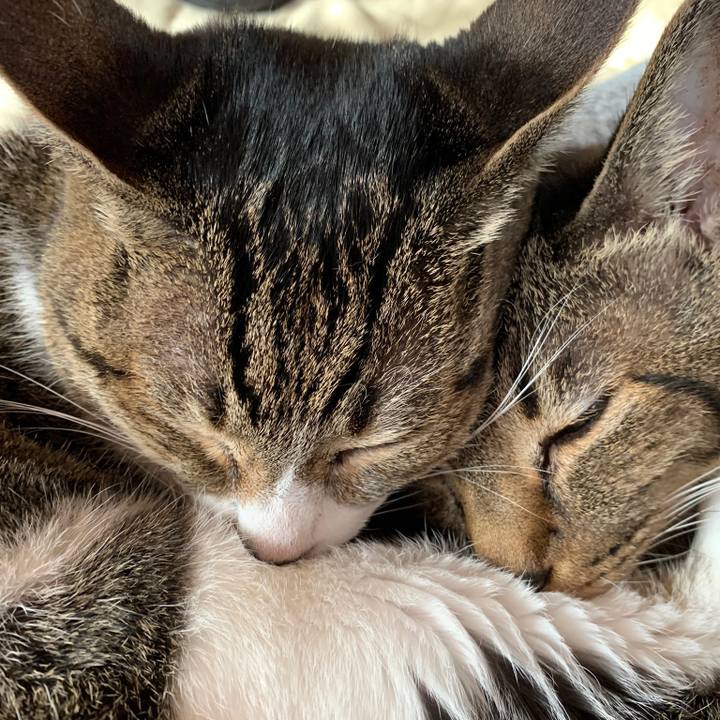 49be98c9 450f 4870 a8c9 c1de6b11a464 1577237326108