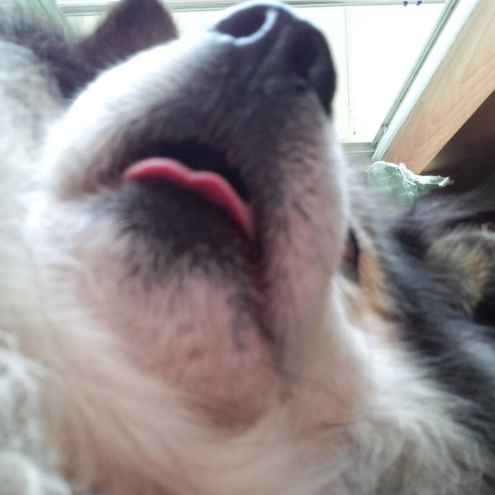 49be9f07 bb36 462a 99e8 5b75eec191db 1608166798528